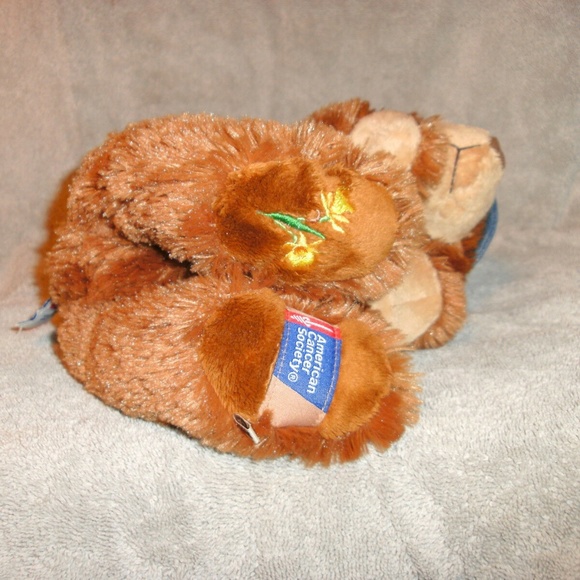 Daffodil Days American Cancer Soc Plush Brown Boyds Bear 13 in Tall Stuffed Toy - Picture 7 of 11